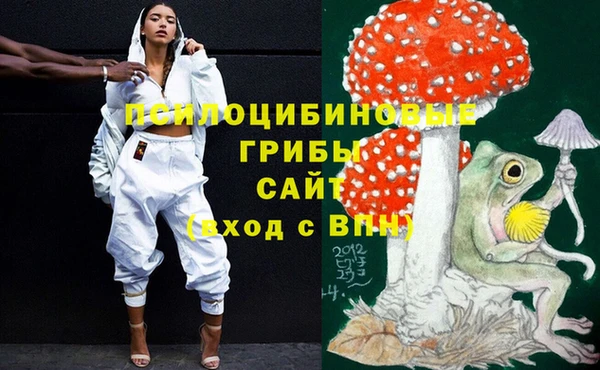 прущие грибы Баксан