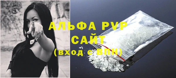 прущие грибы Баксан