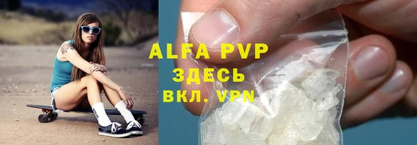 прущие грибы Баксан