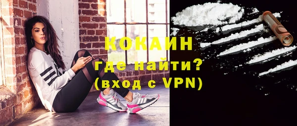 шишки Балабаново