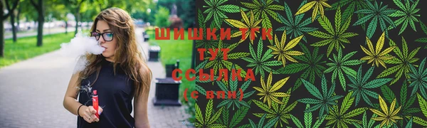 шишки Балабаново