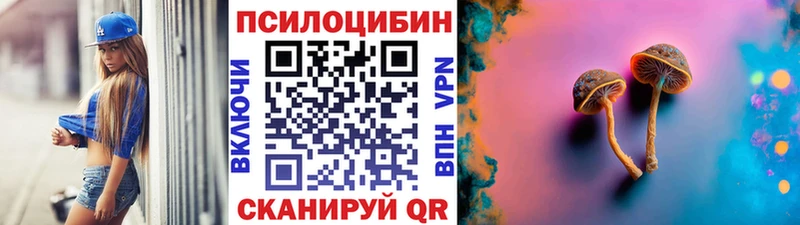 купить наркоту  Белогорск  Псилоцибиновые грибы GOLDEN TEACHER 